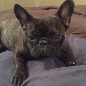 Meet your Posher, Nicolas